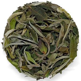 Fuding Baimudan 2025