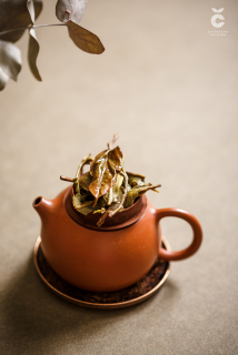 Kolekcia - 90kové Shengy troch farieb