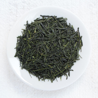 Kabusecha Saemidori Miyazaki 'Gogumi' 2025